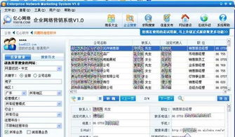 数字化浪潮下的精准触达 企业网络营销软件与计算设备的多维市场解析
